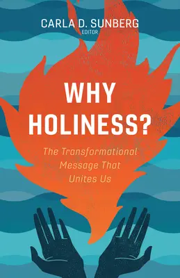 Warum Heiligkeit?: Die transformative Botschaft, die uns verbindet - Why Holiness?: The Transformational Message That Unites Us