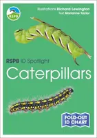 RSPB ID Spotlight - Raupen - RSPB ID Spotlight - Caterpillars