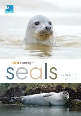Rspb Spotlight Robben - Rspb Spotlight Seals