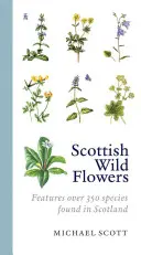 Schottische Wildblumen - Scottish Wild Flowers