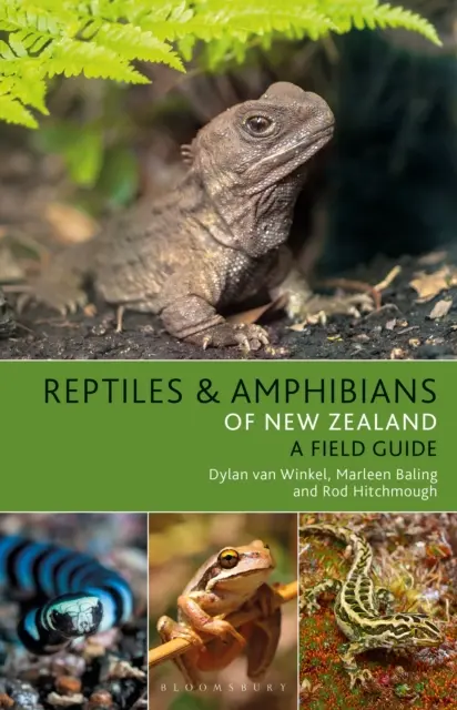 Reptilien und Amphibien Neuseelands - Reptiles and Amphibians of New Zealand