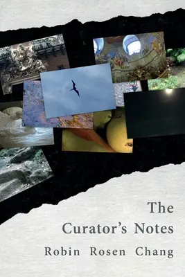 Die Notizen des Kurators - The Curator's Notes