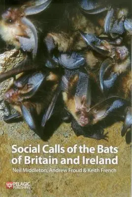 Soziale Rufe der Fledermäuse in Großbritannien und Irland - Social Calls of the Bats of Britain and Ireland