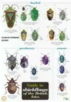 Leitfaden für Schildwanzen auf den Britischen Inseln - Guide to Shieldbugs of the British Isles