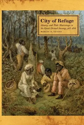 Stadt der Zuflucht: Sklaverei und Petit Marronage im Great Dismal Swamp, 1763-1856 - City of Refuge: Slavery and Petit Marronage in the Great Dismal Swamp, 1763-1856