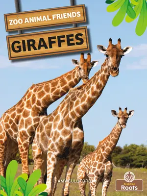 Giraffen - Giraffes