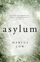 Asylum: 'der glaubwürdigste dystopische Roman, den ich je gelesen habe' Sunday Times - Asylum: 'the Most Credible Dystopian Novel I Have Ever Read' Sunday Times