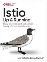 Istio: Auf und davon: Ein Service Mesh zum Verbinden, Sichern, Steuern und Beobachten verwenden - Istio: Up and Running: Using a Service Mesh to Connect, Secure, Control, and Observe