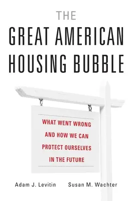 Die große amerikanische Immobilienblase: Was falsch gelaufen ist und wie wir uns in Zukunft schützen können - The Great American Housing Bubble: What Went Wrong and How We Can Protect Ourselves in the Future