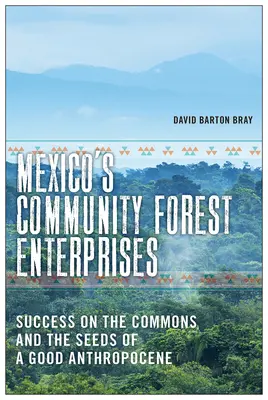 Mexikos kommunale Forstbetriebe: Der Erfolg der Gemeingüter und die Saat eines guten Anthropozäns - Mexico's Community Forest Enterprises: Success on the Commons and the Seeds of a Good Anthropocene