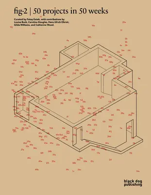 Fig-2: 50 Projekte in 50 Wochen - Fig-2: 50 Projects in 50 Weeks