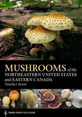 Pilze aus dem Nordosten der Vereinigten Staaten und Ostkanada - Mushrooms of the Northeastern United States and Eastern Canada