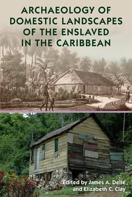 Archäologie der häuslichen Landschaften der Versklavten in der Karibik - Archaeology of Domestic Landscapes of the Enslaved in the Caribbean