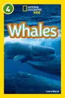 Wale - Stufe 4 - Whales - Level 4