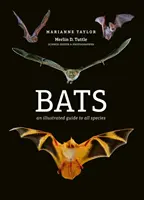 Fledermäuse - Ein illustrierter Leitfaden für alle Arten - Bats - An illustrated guide to all species