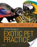 Aktuelle Therapie in der Praxis für exotische Haustiere - Current Therapy in Exotic Pet Practice