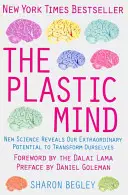 Plastischer Verstand - Plastic Mind