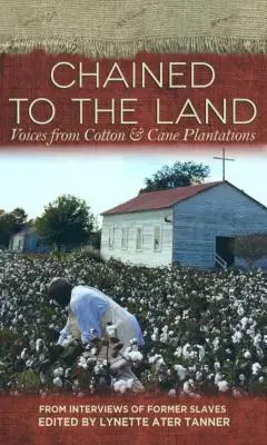 An das Land gekettet: Stimmen aus den Baumwoll- und Zuckerrohrplantagen - Chained to the Land: Voices from Cotton & Cane Plantations