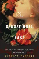 Die sensationelle Vergangenheit: Wie die Aufklärung die Art und Weise veränderte, wie wir unsere Sinne nutzen - The Sensational Past: How the Enlightenment Changed the Way We Use Our Senses
