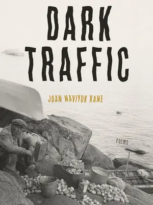 Dark Traffic: Gedichte - Dark Traffic: Poems