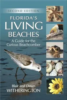 Floridas lebendige Strände: Ein Leitfaden für den neugierigen Strandbesucher - Florida's Living Beaches: A Guide for the Curious Beachcomber