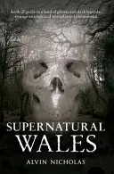 Übernatürliches Wales - Supernatural Wales