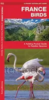 Frankreichs Vögel - Ein Taschenführer für vertraute Arten - France Birds - A Folding Pocket Guide to Familiar Species