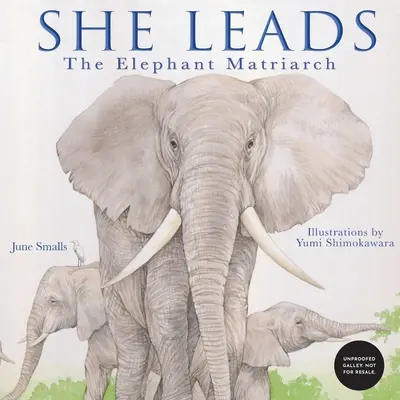 Sie führt: Die Elefanten-Matriarchin - She Leads: The Elephant Matriarch