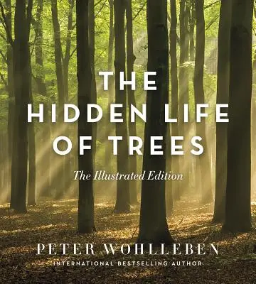 Das verborgene Leben der Bäume: Die illustrierte Ausgabe - The Hidden Life of Trees: The Illustrated Edition