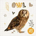 Eule - Owl