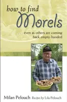 Wie man Morcheln findet - How to Find Morels