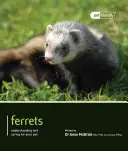 Frettchen - Ferrets