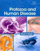 Protozoen und menschliche Krankheiten - Protozoa and Human Disease