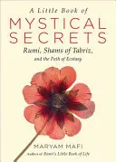 Ein kleines Buch der mystischen Geheimnisse: Rumi, Schams von Täbris und der Pfad der Ekstase - A Little Book of Mystical Secrets: Rumi, Shams of Tabriz, and the Path of Ecstasy