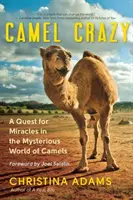 Kamelverrückt: Eine Suche nach Wundern in der geheimnisvollen Welt der Kamele - Camel Crazy: A Quest for Miracles in the Mysterious World of Camels