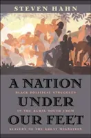 Eine Nation unter unseren Füßen: Die politischen Kämpfe der Schwarzen im ländlichen Süden von der Sklaverei bis zur großen Migration - A Nation Under Our Feet: Black Political Struggles in the Rural South from Slavery to the Great Migration