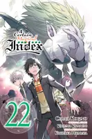 Ein gewisser magischer Index, Bd. 22 (Manga) - A Certain Magical Index, Vol. 22 (Manga)