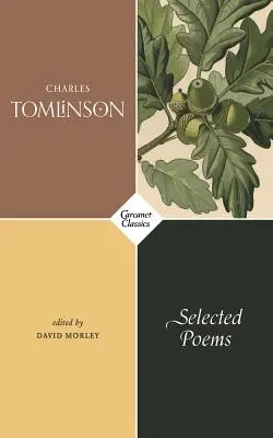 Schwimmen im Chenango-See: Ausgewählte Gedichte - Swimming Chenango Lake: Selected Poems