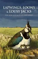 Kiebitze, Seetaucher und Lousy Jacks - Lapwings, Loons and Lousy Jacks