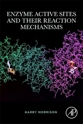 Aktive Stellen von Enzymen und ihre Reaktionsmechanismen - Enzyme Active Sites and Their Reaction Mechanisms