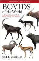 Bovids of the World: Antilopen, Gazellen, Rinder, Ziegen, Schafe und ihre Verwandten - Bovids of the World: Antelopes, Gazelles, Cattle, Goats, Sheep, and Relatives