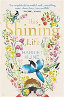 This Shining Life - ein kraftvoller Roman über die Wertschätzung des Lebens - This Shining Life - a powerful novel about treasuring life