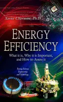 Energieeffizienz - Was sie ist, warum sie wichtig ist und wie man sie bewertet - Energy Efficiency - What it is, Why it is Important, and How to Assess it