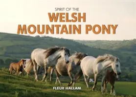 Der Geist des walisischen Bergponys - Spirit of the Welsh Mountain Pony