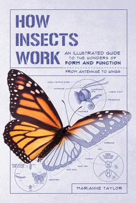 Wie Insekten funktionieren: Ein illustrierter Leitfaden zu den Wundern von Form und Funktion - von den Antennen bis zu den Flügeln - How Insects Work: An Illustrated Guide to the Wonders of Form and Function--From Antennae to Wings