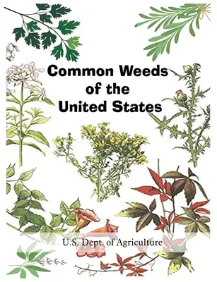 Gewöhnliche Unkräuter in den Vereinigten Staaten - Common Weeds of the United States