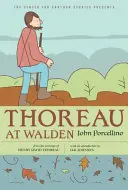 Thoreau in Walden - Thoreau at Walden