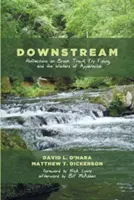 Stromabwärts - Downstream