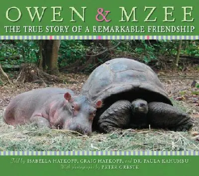 Owen und Mzee: Die wahre Geschichte einer bemerkenswerten Freundschaft - Owen and Mzee: The True Story of a Remarkable Friendship