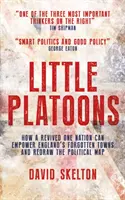 Little Platoons - Wie eine wiederbelebte One Nation Englands vergessene Städte stärken und die politische Landkarte neu zeichnen kann - Little Platoons - How a revived One Nation can empower England's forgotten towns and redraw the political map